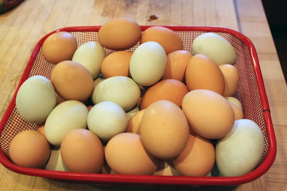 Какие яйца лучше купить. Fresh Eggs. Какие яйца лучше брать. Дес ЭГГ. Качество яиц фото.