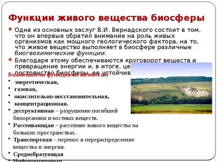 Какова геологическая роль живых организмов