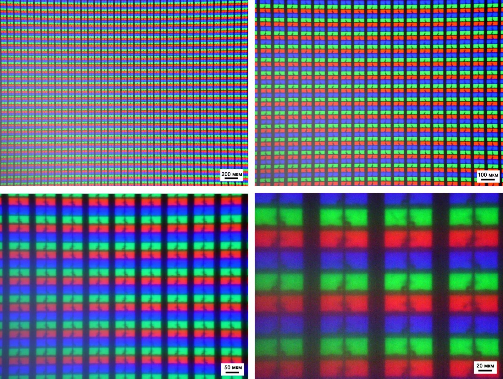 RGB матрица монитора. TFT TN IPS пиксел. TFT матрица пиксели. TN И IPS матрица под микроскопом. Матрица пиксели разрешение