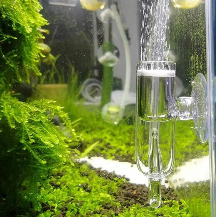 Диффузор со2 для аквариума. Диффузор eheim со2. chihiros nano co2 diffuser. диффузор для аквариума стеклянный. воздушный стеклянный диффузор для аквариума.