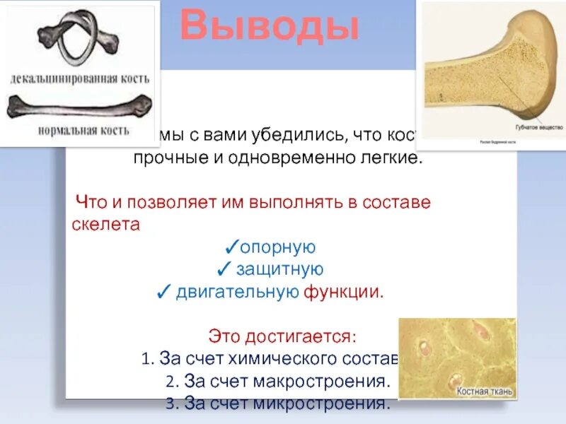 Нормальная кость