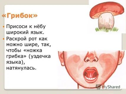 Язык раскроет