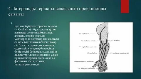 Жалаңаш әйелдермен порнокарталар