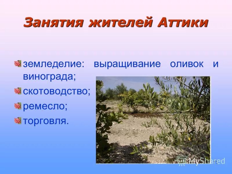 занятия жителей аттики 5 класс. занятия жителей в афинах. основные занятия жителей аттики. основные занятия жителей аттики. основные занятия жителей аттики.