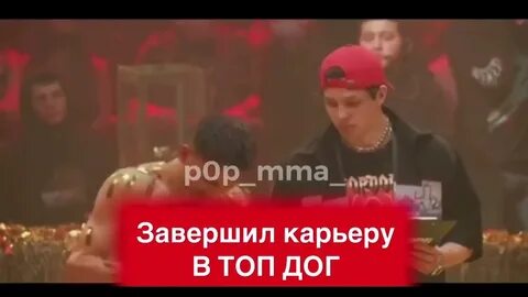 Топ дог 28 результаты