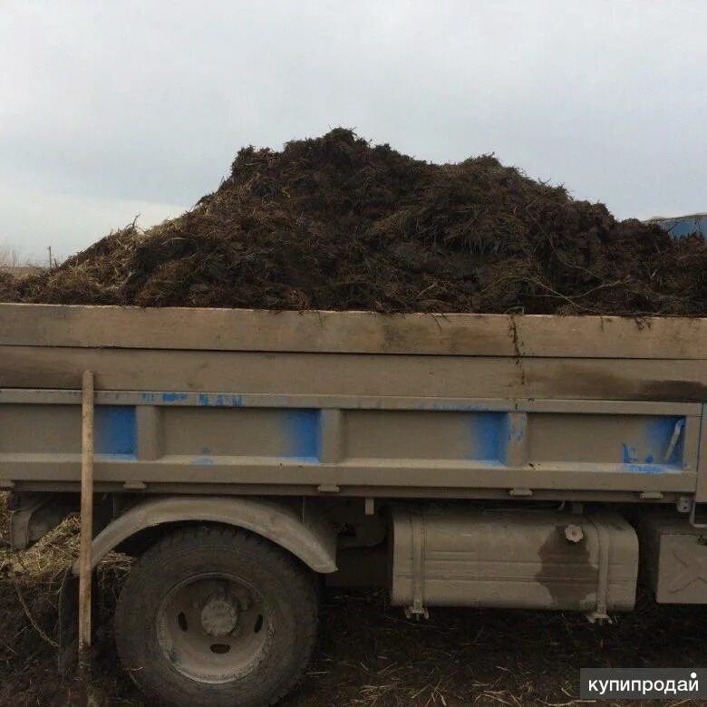 Навоз газель. Грузовик с навозом. Перегной. Чернозем зил. Газель самосвал с черноземом.