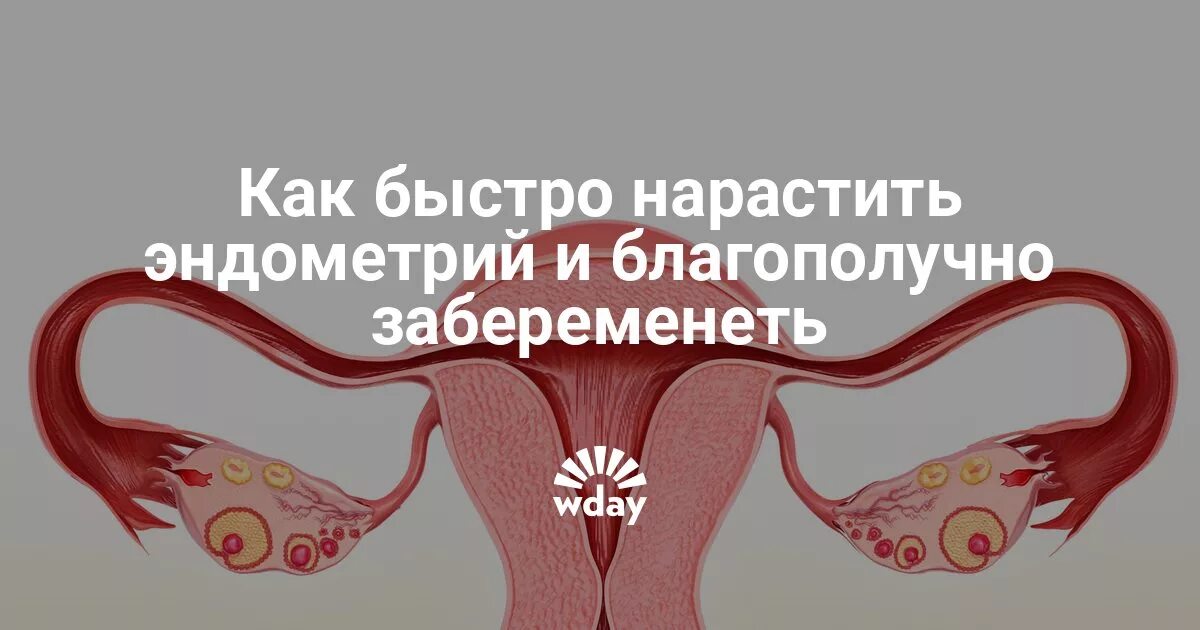 Можно ли забеременеть без маточных