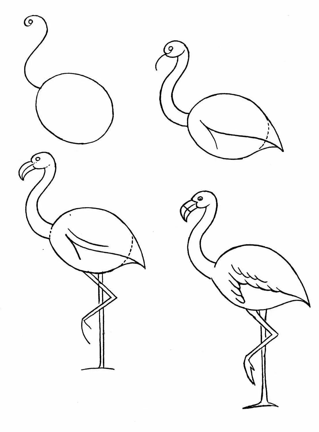 Этапы рисования фламинго. Картинки фламинго для срисовки. Фламинго поэтапно карандашом. Фламинго для срисовки карандашом. Фламинго поэтапно карандашом.