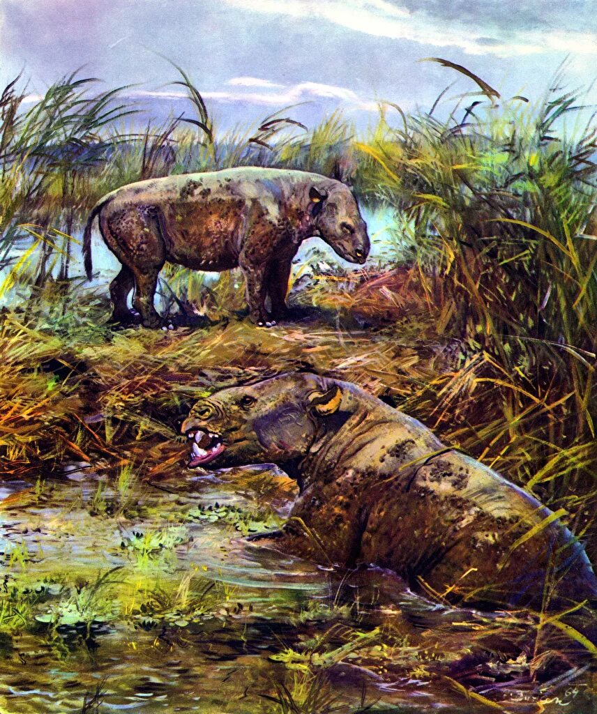 Тираннозавр рекс. Теризинозавр прогулки с динозаврами. Велизар симеоновский картины вымерших. Юрский период мезозойской эры. 5 доисторических животных.