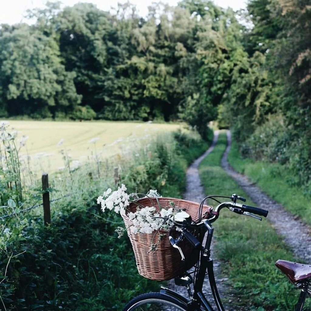 В июне бывает день. Велосипед на природе. Эстетика лета в деревне. Велосипед летом. Спасибо лето.