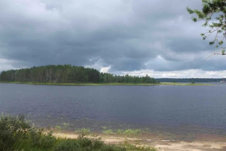 Озеро городно. Озеро городно новгородская область. Озеро ямное новгородская область. Озеро городно новгородская область. Озеро городно новгородская область.