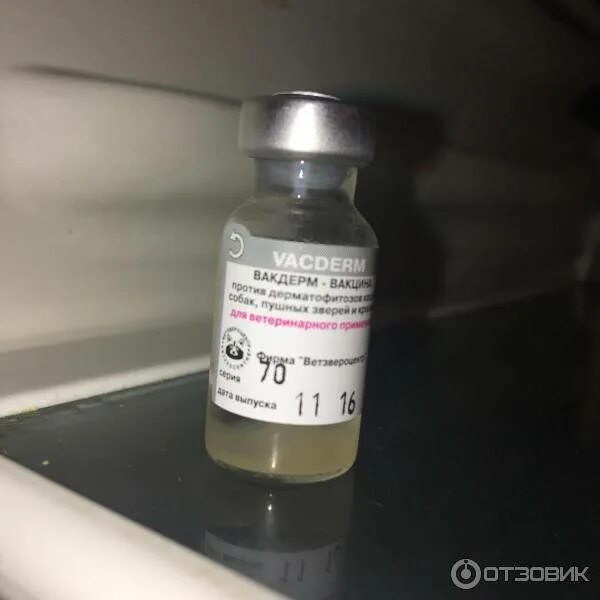 Вакдерм для кошек. Вакцина вакдерм f 1 мл. вакцина вакдерм f 10. вакдерм для животных в уколах. вакцина вакдерм для собак.