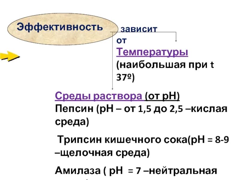 Ферменты поджелудочной железы. Пепсин оптимум ph. Зависимость ферментов от ph. Ph трипсина. Пепсин и липаза.