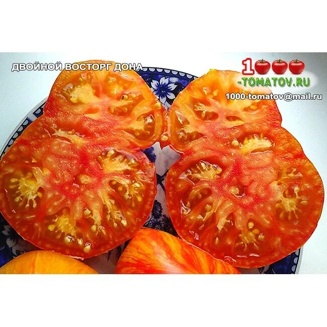 томат двойной восторг дона. двойной восторг дона. томат двойной восторг. томат двойной восторг дона. томат донс дабл делайт.