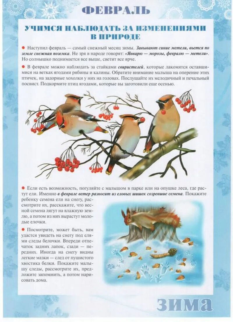 Февраль для детей информация. Материал для родительского уголка в средней группе. Февраль для родительского уголка. Февраль родительский уголок подготовительная группа. Материалы для родительского уголка младшая группа январь февраль.