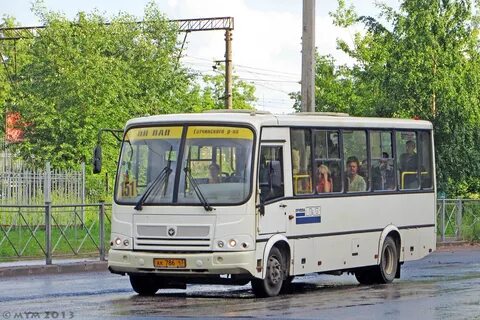 Гатчина новый свет маршрут