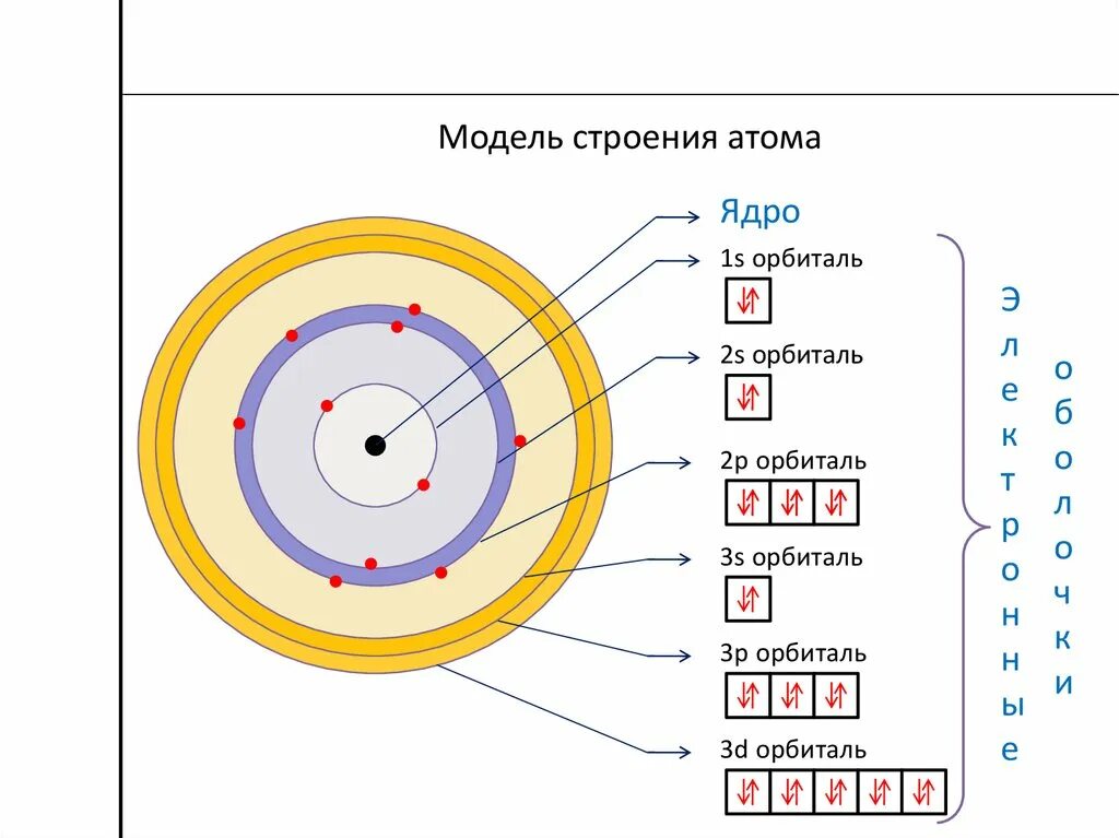 Схема строения электронной оболочки атома водорода. Строение атома 8 класс. Модель электронного строения. Модель электронного строения атома Бора.