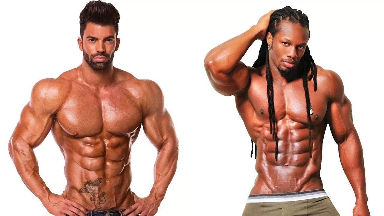 Типы мышечной массы. Типы мышечной массы. Мышцы нижней конечности. Типы фигур эктоморф эндоморф мезоморф. Типы мышечной массы.