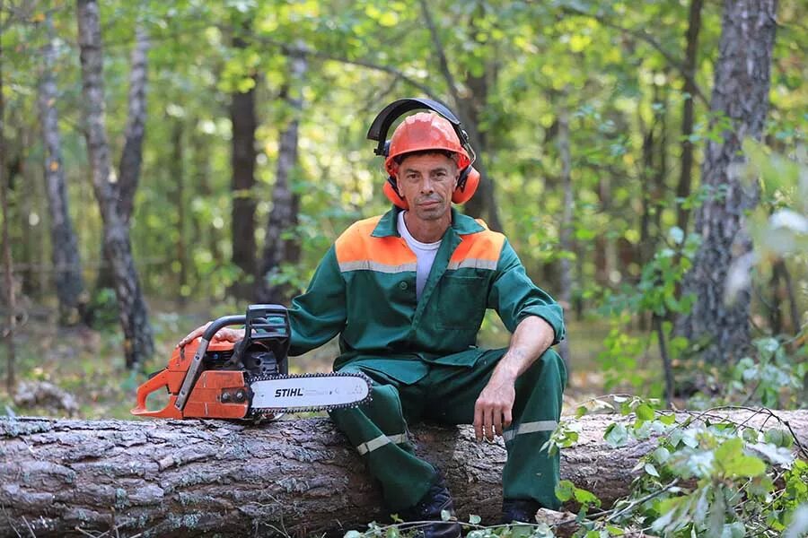 инженер лесного хозяйства. лесоруб пилит дерево. вальщик леса. работник леса. вальщик леса.