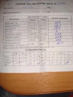Какие анализы сдать 50 лет женщинам