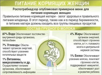 Что кушать чтоб молоко было жирнее