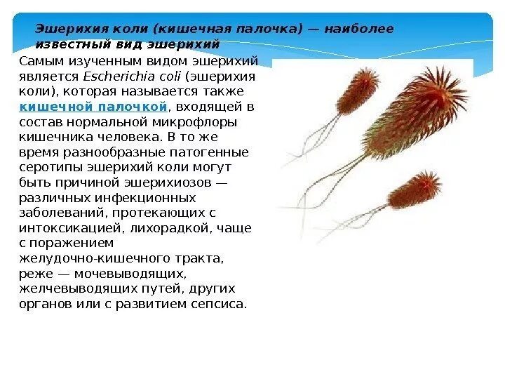 Коли може. Коли може. Коли може. Коли може. Коли може.