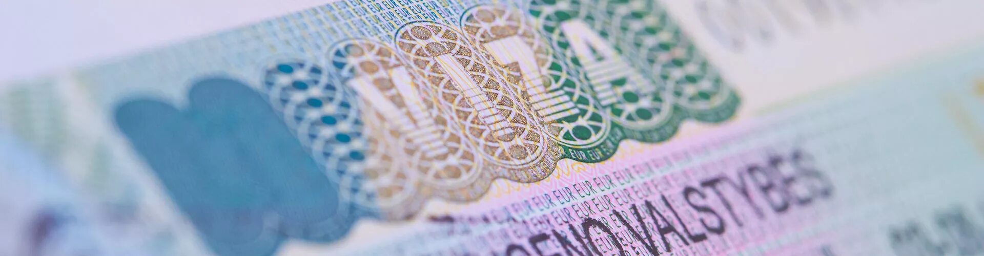 Студенческая виза 2024. Студенческая виза в Чехию. Студенческая виза картинки. Студенческая виза в Чехию 2023. Деньги оплата.