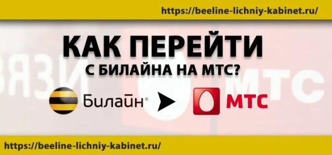 Переход на билайн с сохранением. Билайна на МТС перешла. Как перейти с МТС на Билайн. Как перейти с Билайна на МТС С сохранением номера. Как с МТС переключиться на Билайн.