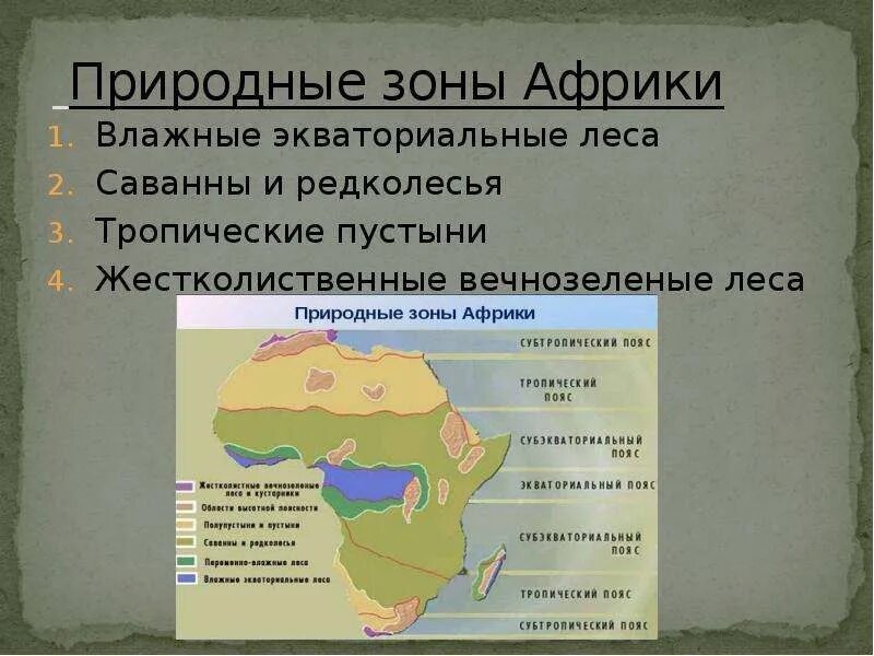 Природные зоны канады занимающие наибольшую площадь. Природные зоны Африки пустыни таблица. Природные зоны Африки таблица 7 класс влажные экваториальные леса. Природныемзоны Африки. Природные зоныаафрики.