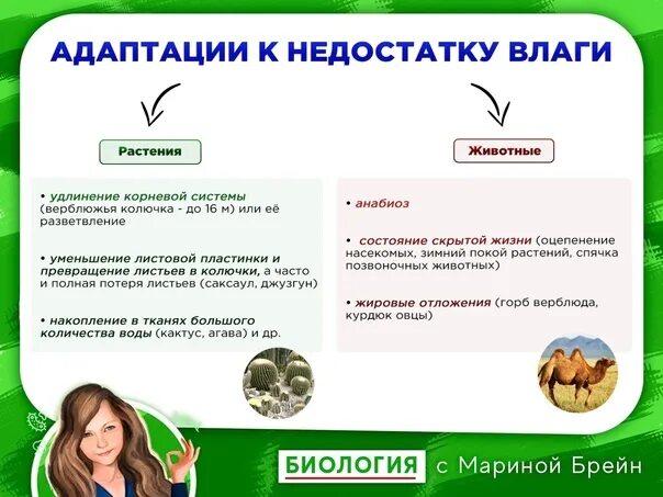 Выберите адаптации животных к зимнему периоду. Выберите адаптации животных к зимнему периоду
