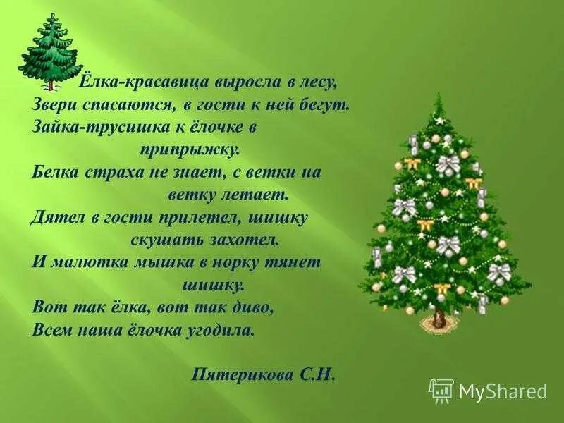 На опушке леса росла елка она была. На опушке леса росла елка она была. Стихотворение про ель. На опушке леса росла елка она была. Стих про ель для детей.
