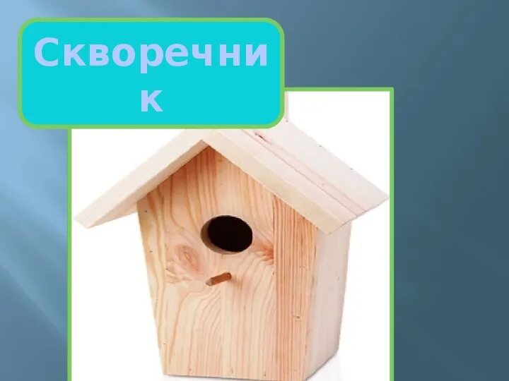 Презентация к проекту 9 класс образец скворечник Проектная деятельность с детьми 4–5 лет по теме "Скворечник" секрет
