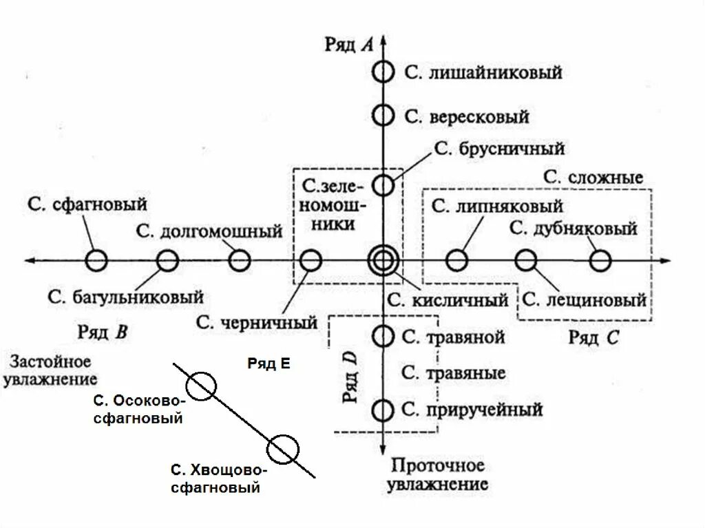 Тип леса бр. Классификация типов леса сукачева. классификация типов леса в. н. сукачева. классификация типов сосновых лесов по сукачеву. классификация типов леса по в.н сукачеву.