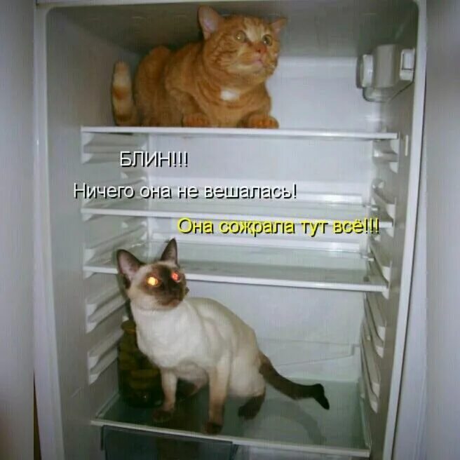 Что она ничего после