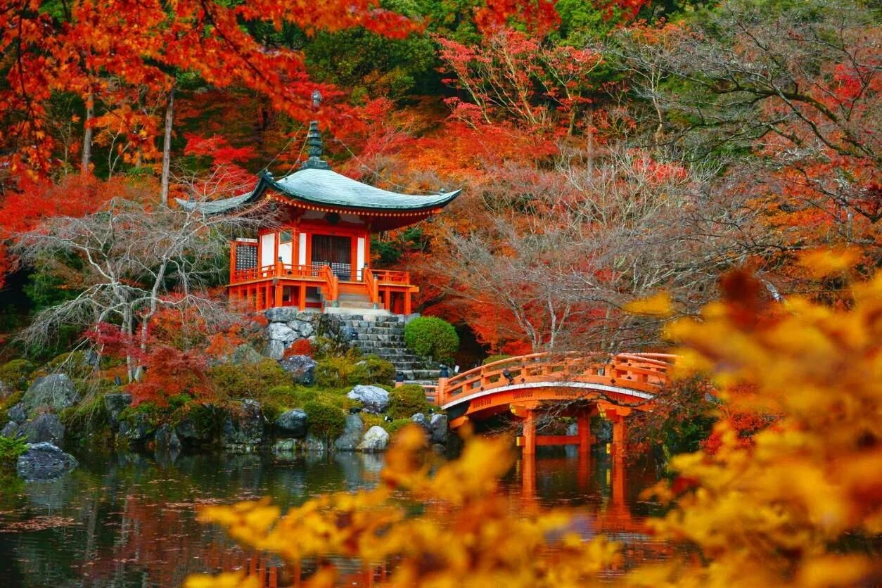 Лучшие японско корейские. Киото Япония. Киото Япония осень. Сады Киото Япония. Киото Момидзи.