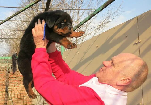 доллар из аглицкого сада. аглицкий сад. аглицкий сад. аглицкий продюсер. аглицкий стиль.