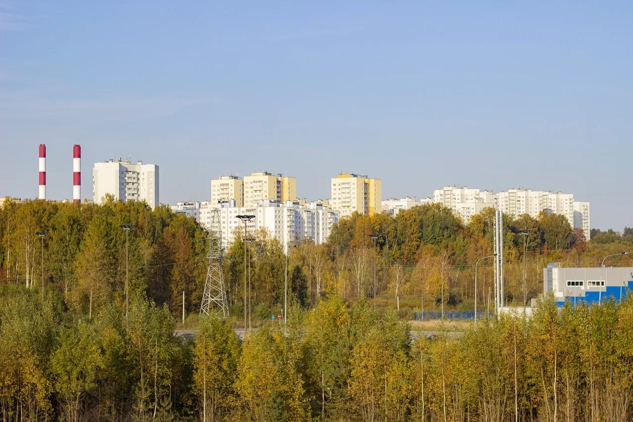 Поселок осиновая роща санкт петербург. Парк осиновая роща санкт-петербург. Осиновая роща санкт-петербург звезда. Микрорайон осиновая роща санкт-петербург. Осиновая роща военный городок.