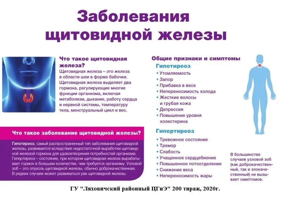 Терапия болезни и лечение. Заболевания щитовидной железы. заболевание щетовиднойжелезы. болезнищиьтовиднойжелезы. щитовидная железа симптомы заболевания.