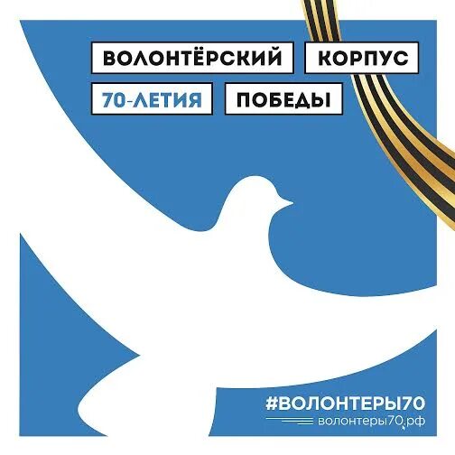 Волонтер 70. Волонтерский корпус 70 летия Победы. Волонтеры Победы. Тамбовский волонтерский корпус. Волонтеры Победы 70 лет.