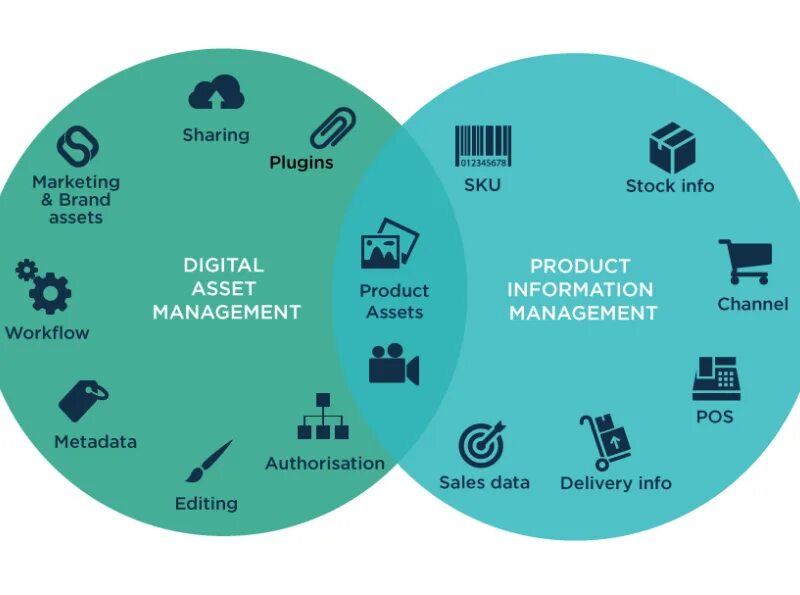 Asset shared. Бренд менеджмент. Digital Asset Management (dam). Pim dam системы. Менеджмент (Management).