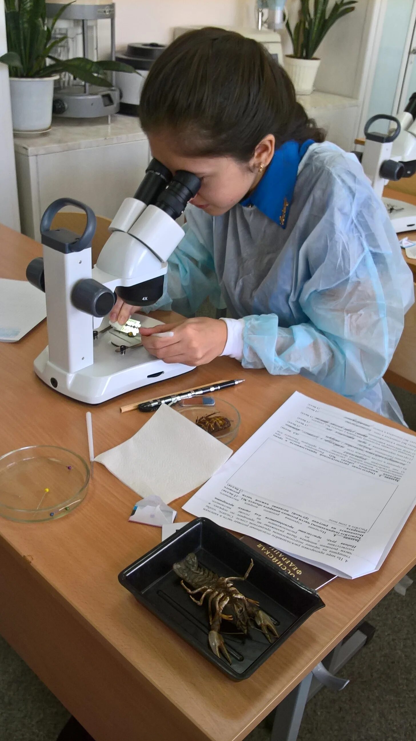 олимпиад по биологии. практика биология региональный этап. олимпиада в школе. научно-исследовательская деятельность школьников. региональный этап олимпиады.