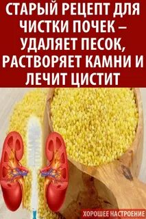 Что можно есть при камне в почке