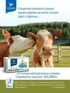 Сливки листовки