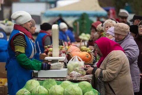 Рынок сельского хозяйства 2023