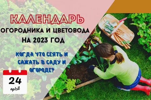 Садовод календарь посадок 2023 году