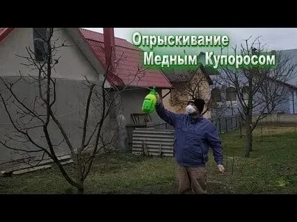 Спасенный сад