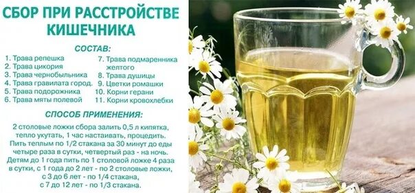 Можно ли пить сок при диарее. Травяной сбор от диареи. сбор трав при поносе. травы от диареи от кишечных расстройств. травяной сбор при диарее.