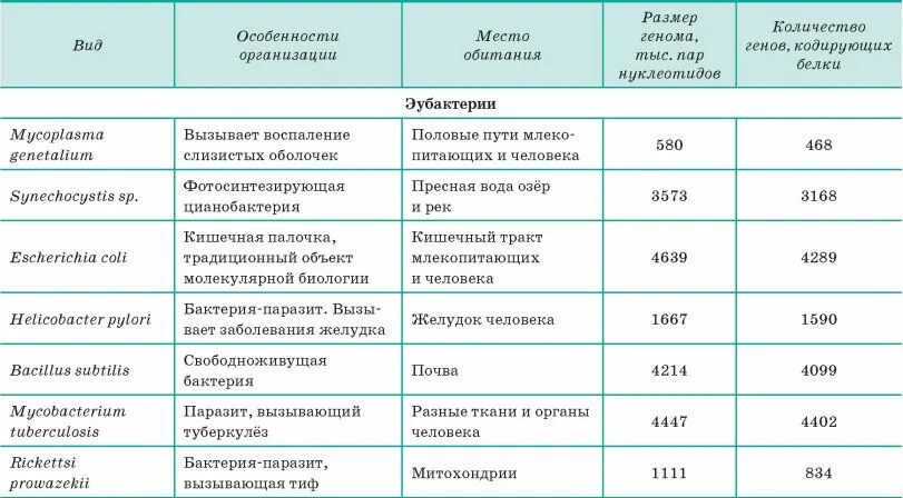 Таблица геномов. Таблица геномов. Сравнительная характеристика генома про и эукариот. Сходство днк человека с другими организмами. Геном это генетический код человека.