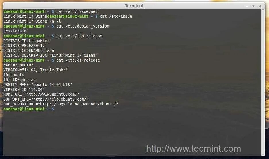 Linux Mint Terminal. Проверить ядро линукс минт. Linux Mint добавить строку в файл через терминал. Как выглядит форматирование флешки через терминал Ubuntu. Report url