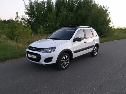 Калина кросс белый